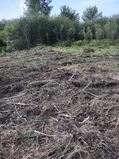 Sandy Creek State Forest - Pulaski, NY