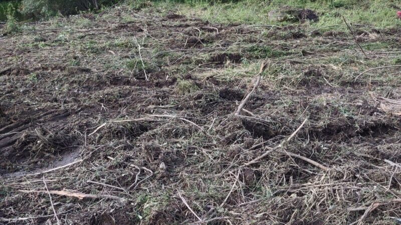 Sandy Creek State Forest - Pulaski, NY