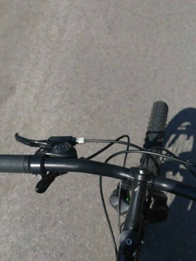 Sandy Creek State Forest - Pulaski, NY