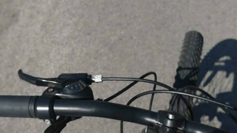 Sandy Creek State Forest - Pulaski, NY