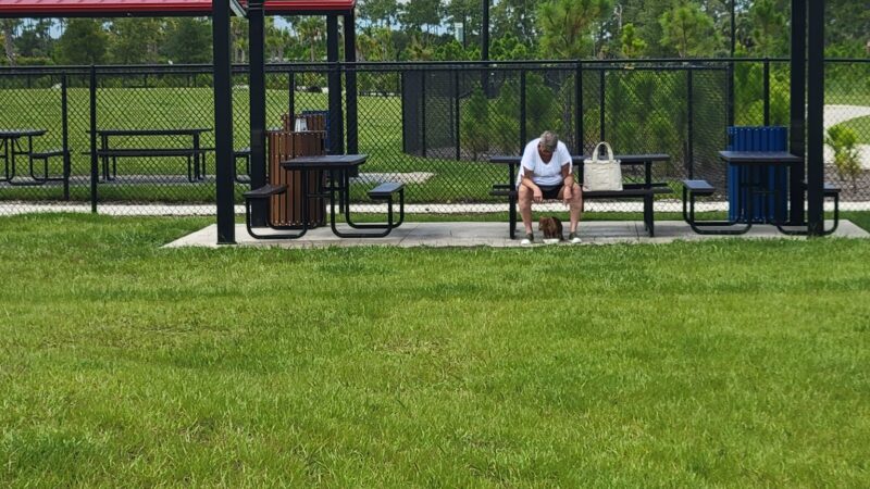 Dog park - Punta Gorda, FL