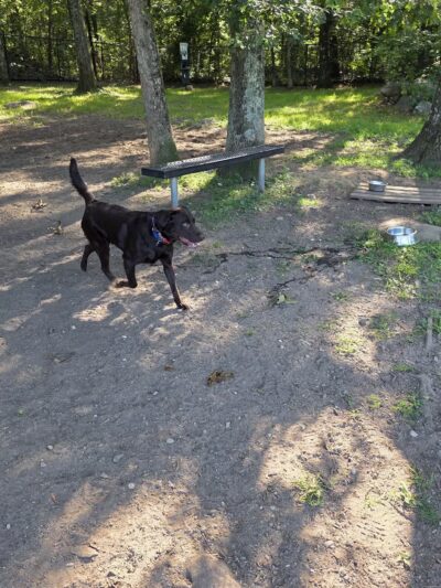 Putnam Valley Town Park - Putnam Valley, NY