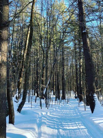 Pinnacle Trailhead, Holden Trail - Putney, VT