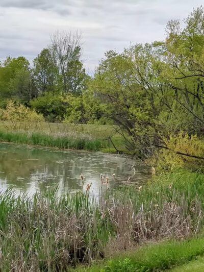 Great Blue Heron Park - Quakertown, PA