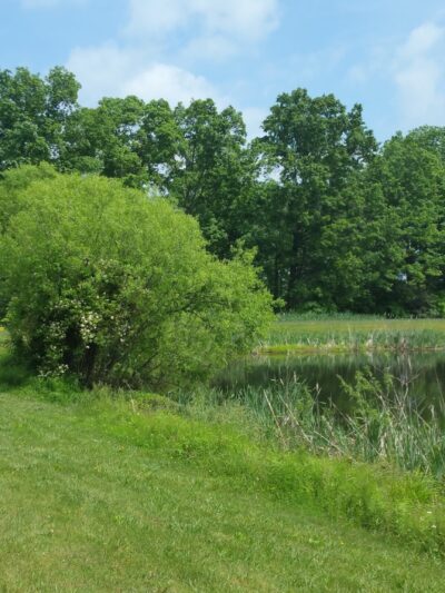 Great Blue Heron Park - Quakertown, PA