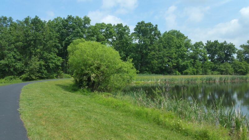 Great Blue Heron Park - Quakertown, PA