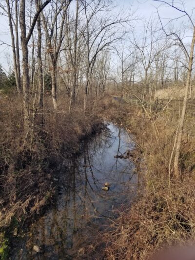 Great Blue Heron Park - Quakertown, PA