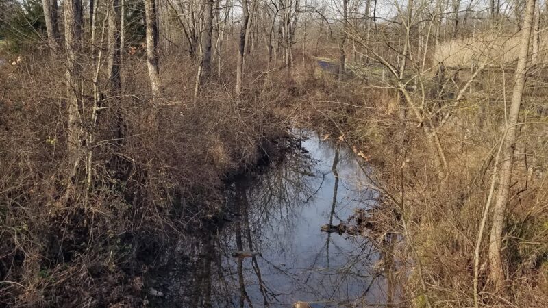 Great Blue Heron Park - Quakertown, PA