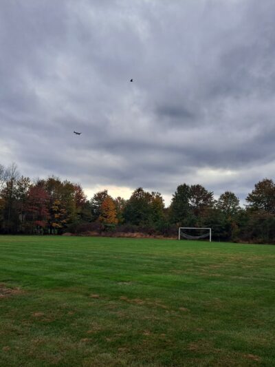 Little Bear's Park - Quakertown, PA