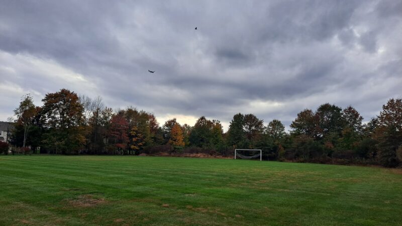 Little Bear's Park - Quakertown, PA