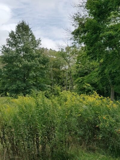 Unami Creek Park- Milford Township - Quakertown, PA