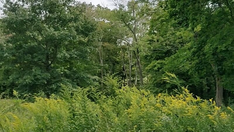 Unami Creek Park- Milford Township - Quakertown, PA