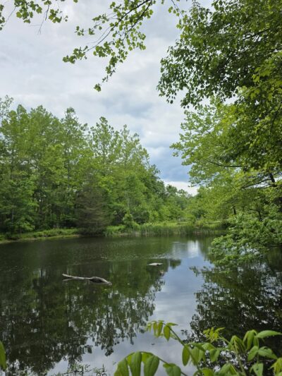 Unami Creek Trailhead - Quakertown, PA
