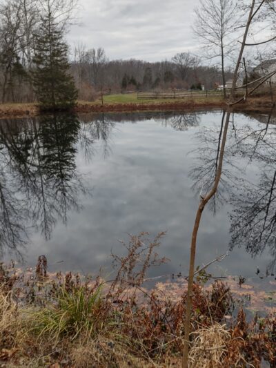 Unami Creek Trailhead - Quakertown, PA