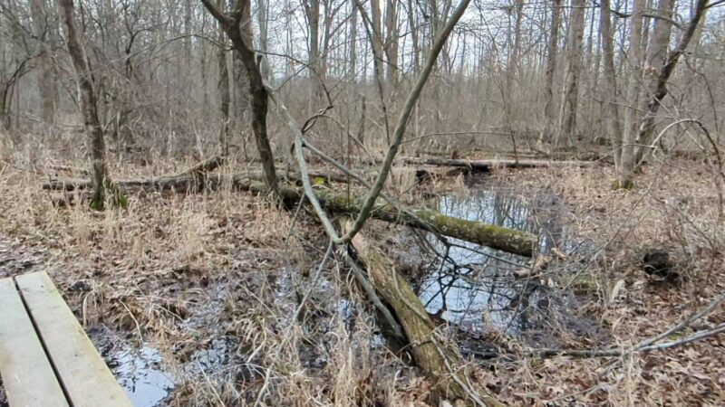 Veterans Park - Quakertown, PA