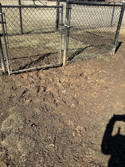 Marine Corps Base Quantico Dog Park - Quantico, VA