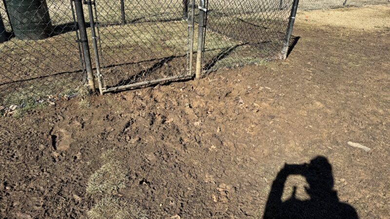Marine Corps Base Quantico Dog Park - Quantico, VA