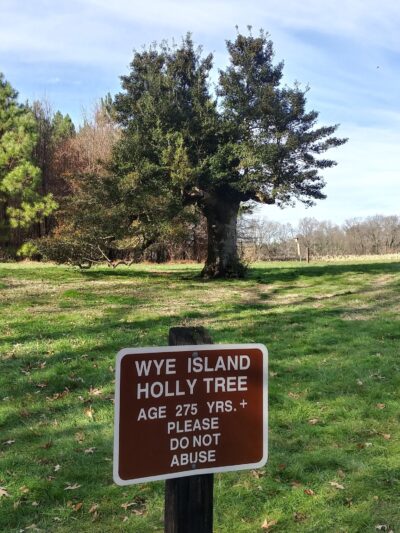 Wye Island NRMA - Queenstown, MD