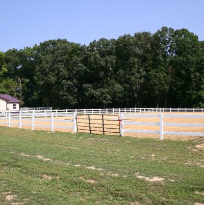 Wye River Kennel - Dog & Cat Boarding Kennel & Dog Daycare Queenstown - Queenstown, MD