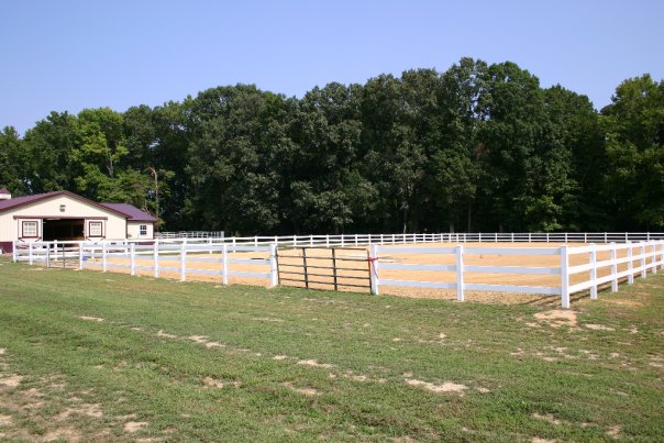 Wye River Kennel - Dog & Cat Boarding Kennel & Dog Daycare Queenstown - Queenstown, MD