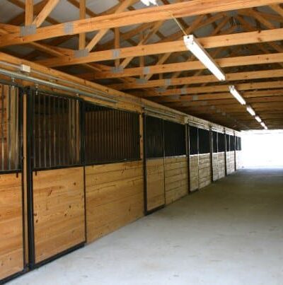 Wye River Kennel - Dog & Cat Boarding Kennel & Dog Daycare Queenstown - Queenstown, MD