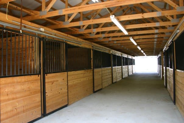 Wye River Kennel - Dog & Cat Boarding Kennel & Dog Daycare Queenstown - Queenstown, MD