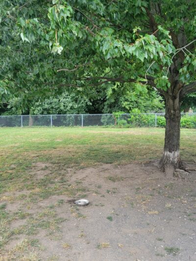 North Quincy Dog Park - Quincy, MA