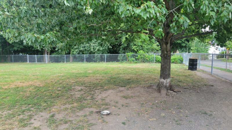 North Quincy Dog Park - Quincy, MA