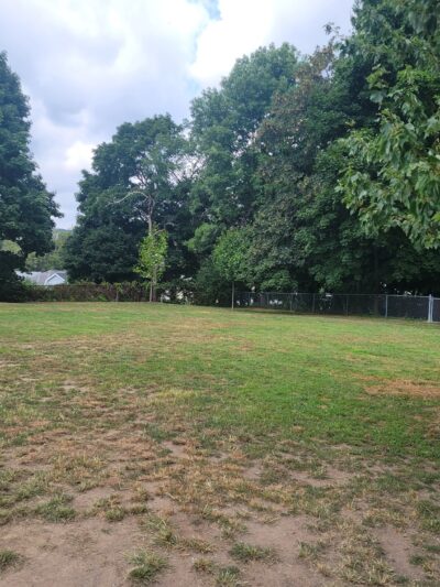 North Quincy Dog Park - Quincy, MA