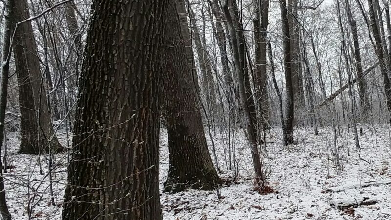 Patterson Community Park - Racine, PA