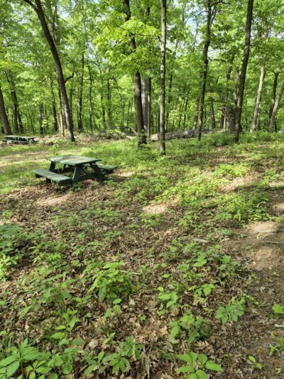 Patterson Community Park - Racine, PA