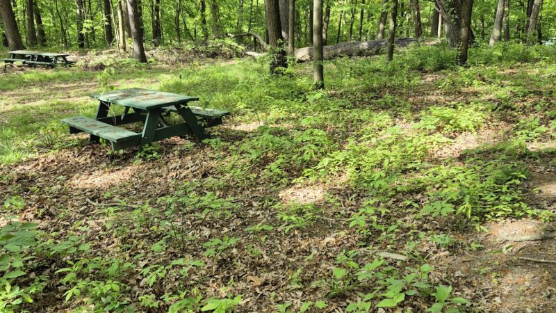 Patterson Community Park - Racine, PA