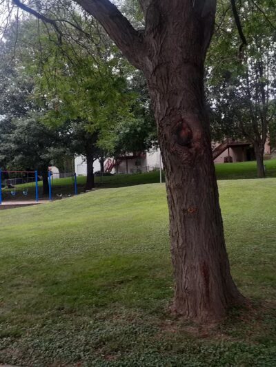 Woodbine Park - Ralston, NE