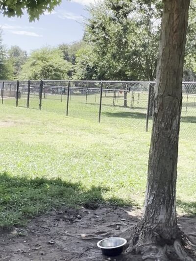 Hagan Community Dog Park - Rancho Cordova, CA