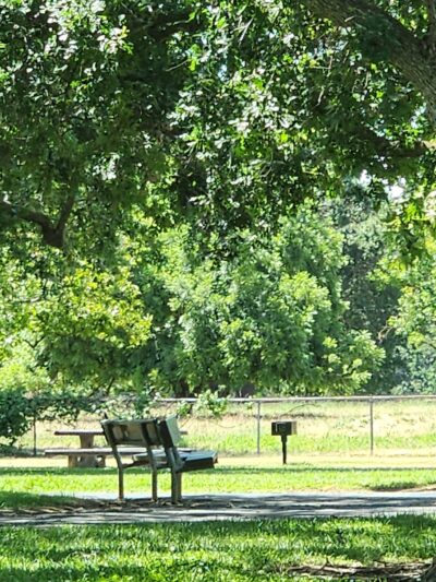 Hagan Community Dog Park - Rancho Cordova, CA