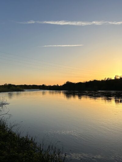 Hagan Community Dog Park - Rancho Cordova, CA