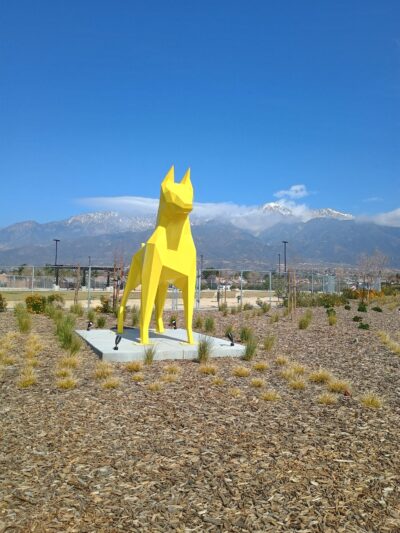 Central Park Dog Park - Rancho Cucamonga, CA