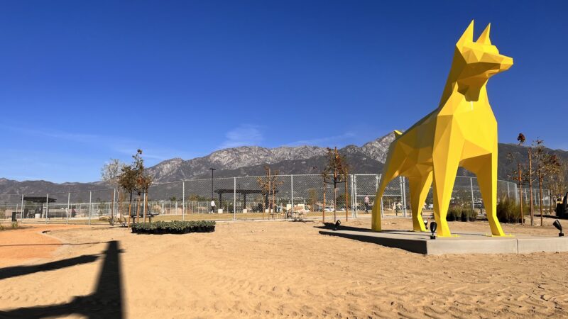Central Park Dog Park - Rancho Cucamonga, CA