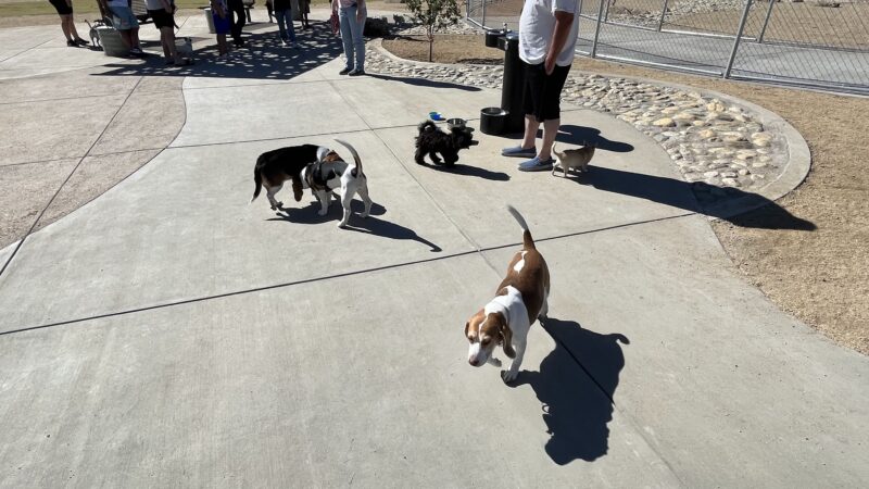 Central Park Dog Park - Rancho Cucamonga, CA