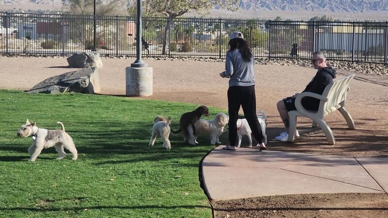 Rancho Mirage Dog Park - Rancho Mirage, CA