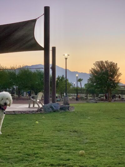 Rancho Mirage Dog Park - Rancho Mirage, CA