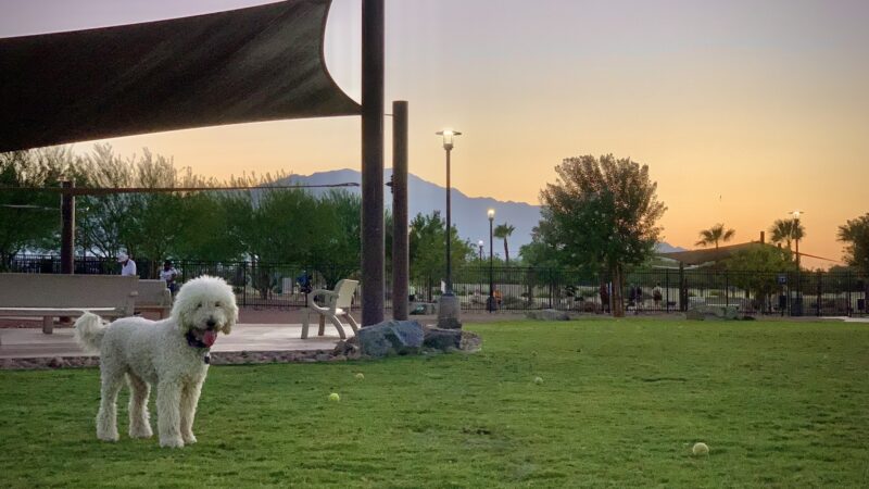 Rancho Mirage Dog Park - Rancho Mirage, CA