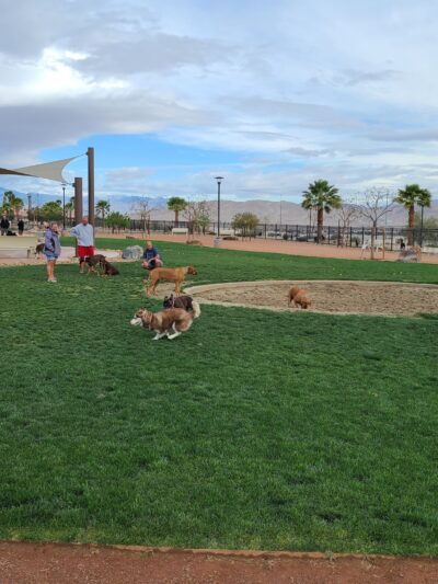 Rancho Mirage Dog Park - Rancho Mirage, CA