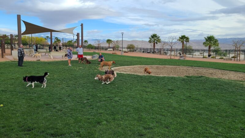 Rancho Mirage Dog Park - Rancho Mirage, CA