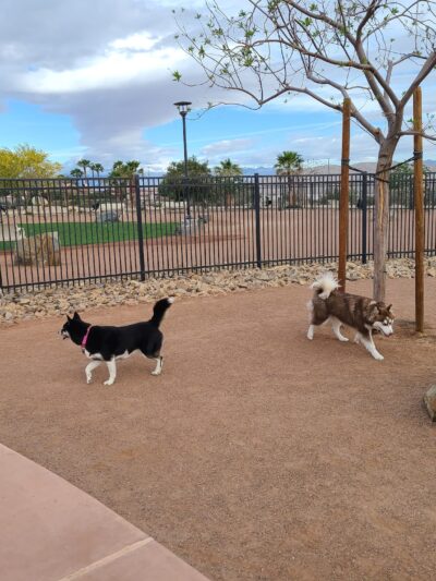 Rancho Mirage Dog Park - Rancho Mirage, CA