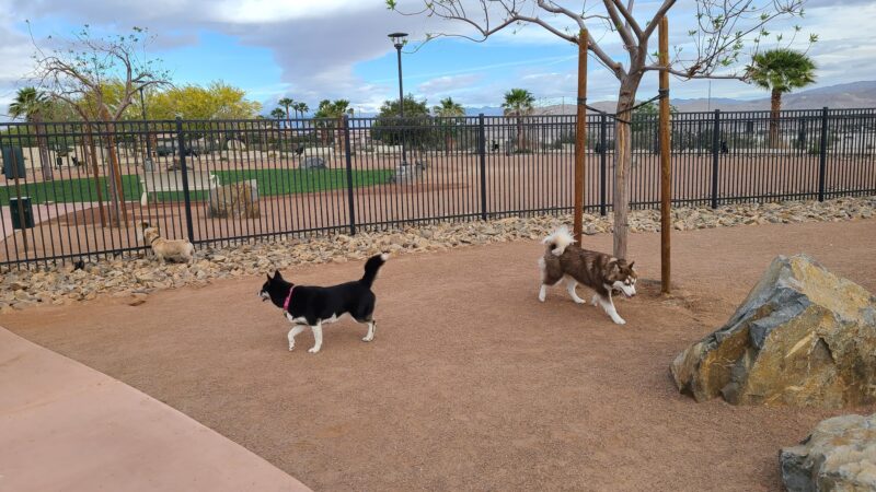 Rancho Mirage Dog Park - Rancho Mirage, CA