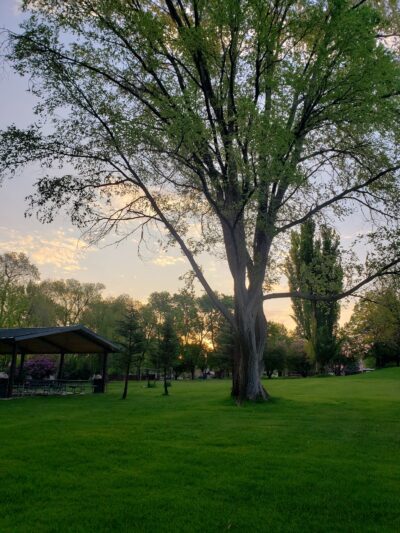 Elks Park - Rangely, CO