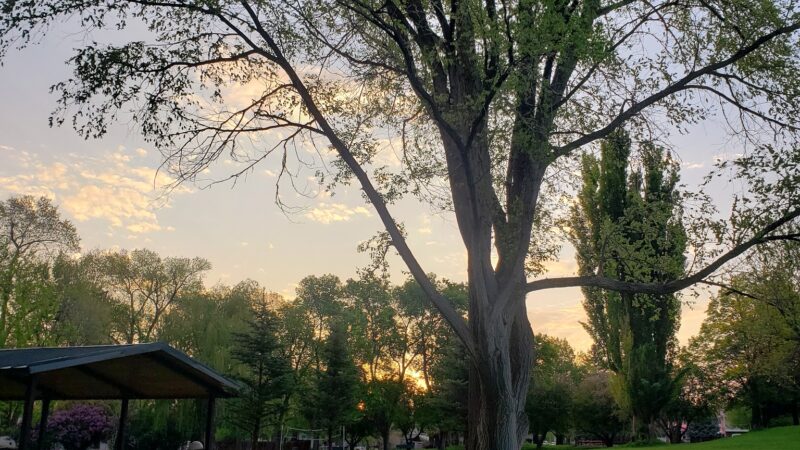 Elks Park - Rangely, CO