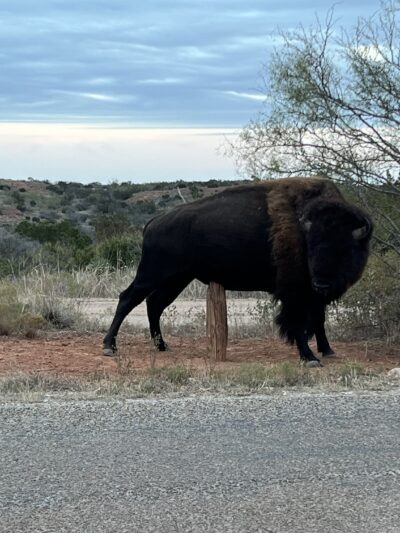 Ransom Canyon Park - Ransom Canyon, TX