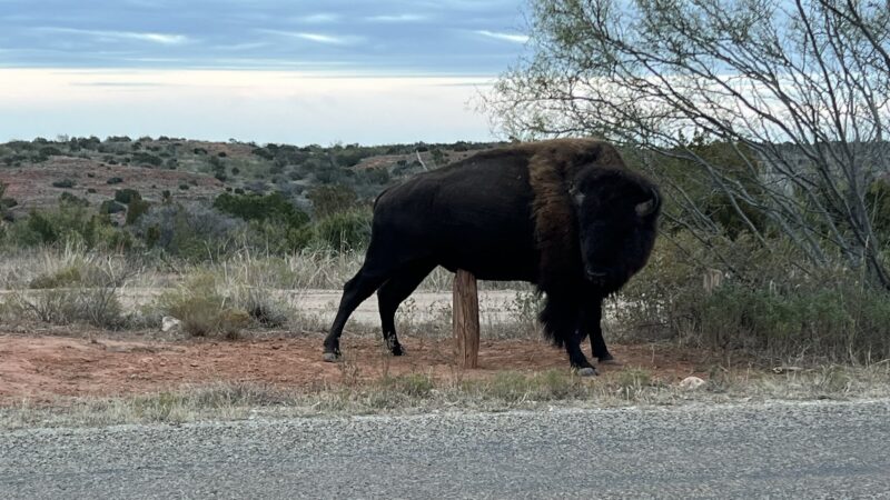 Ransom Canyon Park - Ransom Canyon, TX